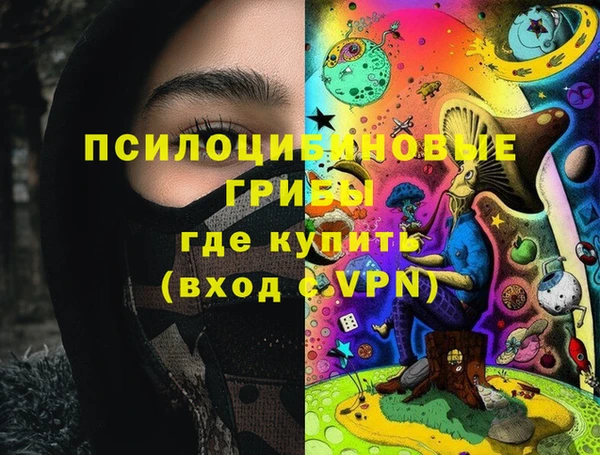 прущие грибы Алзамай