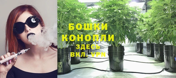 прущие грибы Алзамай