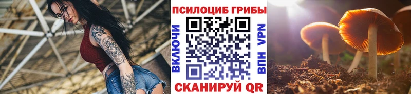 Галлюциногенные грибы GOLDEN TEACHER  Котовск 