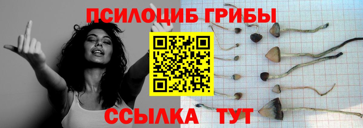 Псилоцибиновые грибы MAGIC MUSHROOMS  Вход с VPN  Котовск 